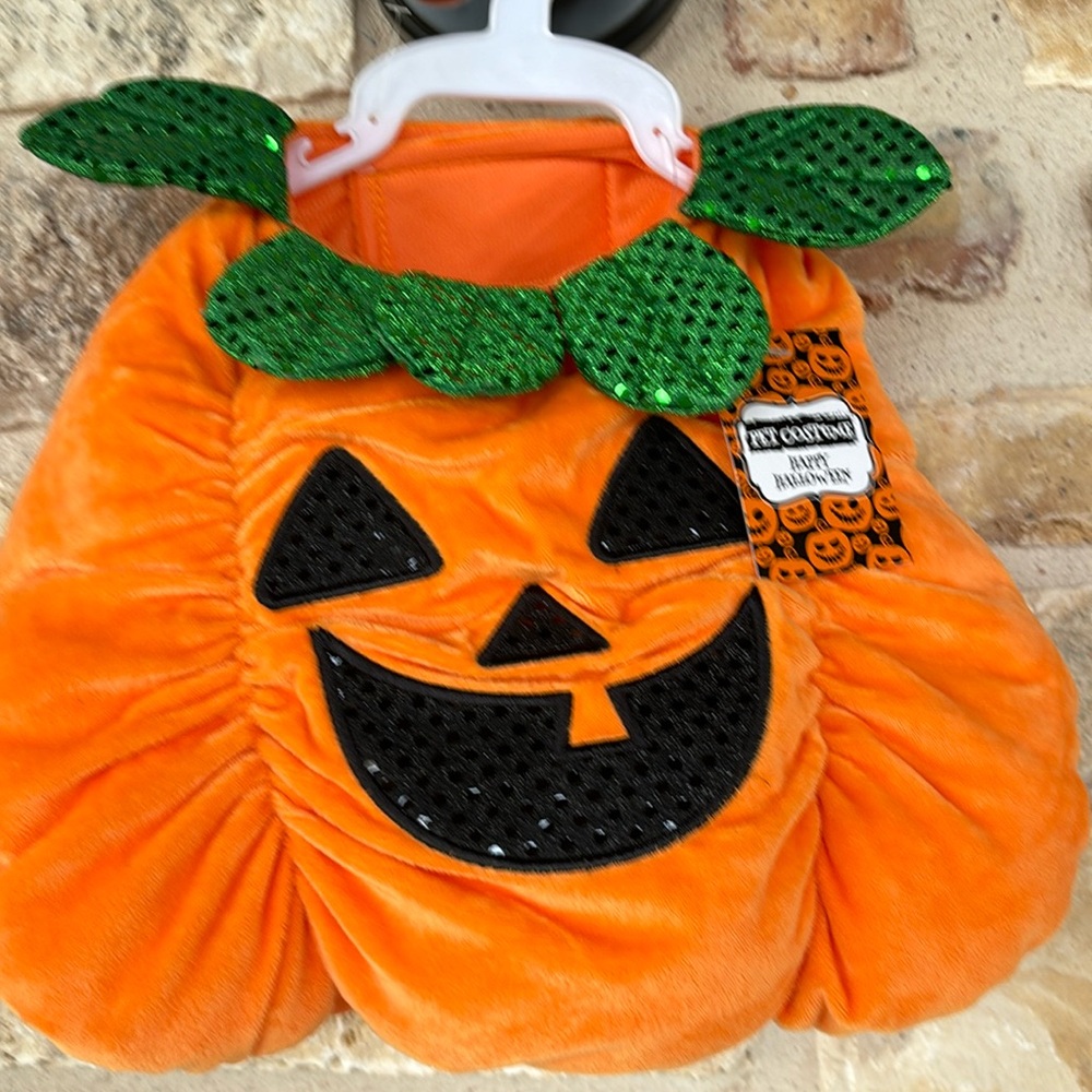 Pet Pumpkin Costume NWT